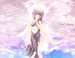 anime_angel_smaller[1]